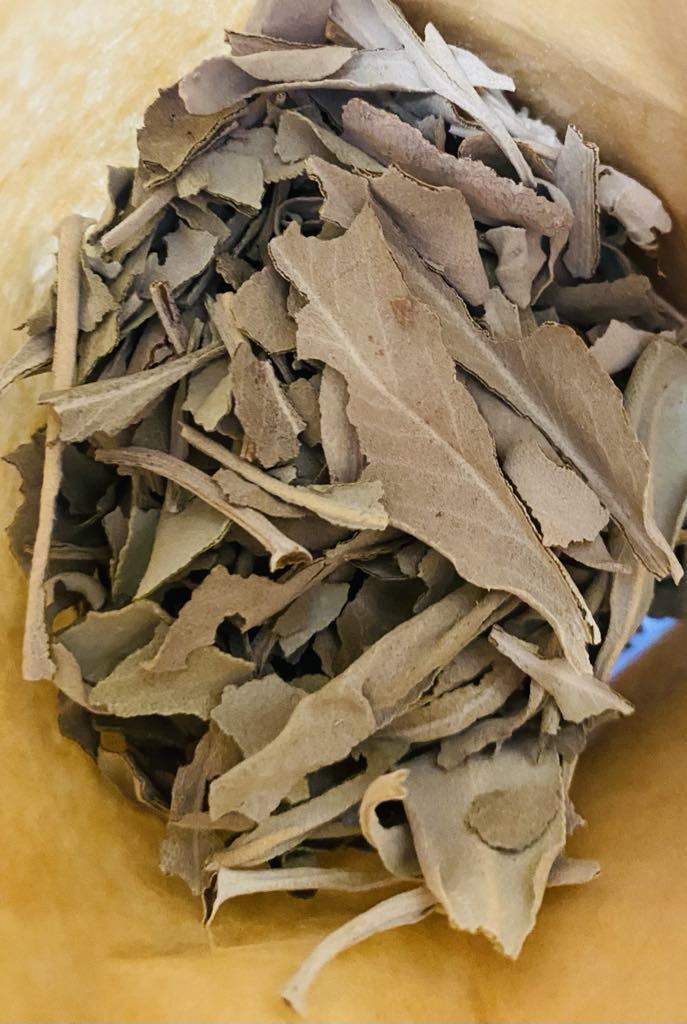 White Sage