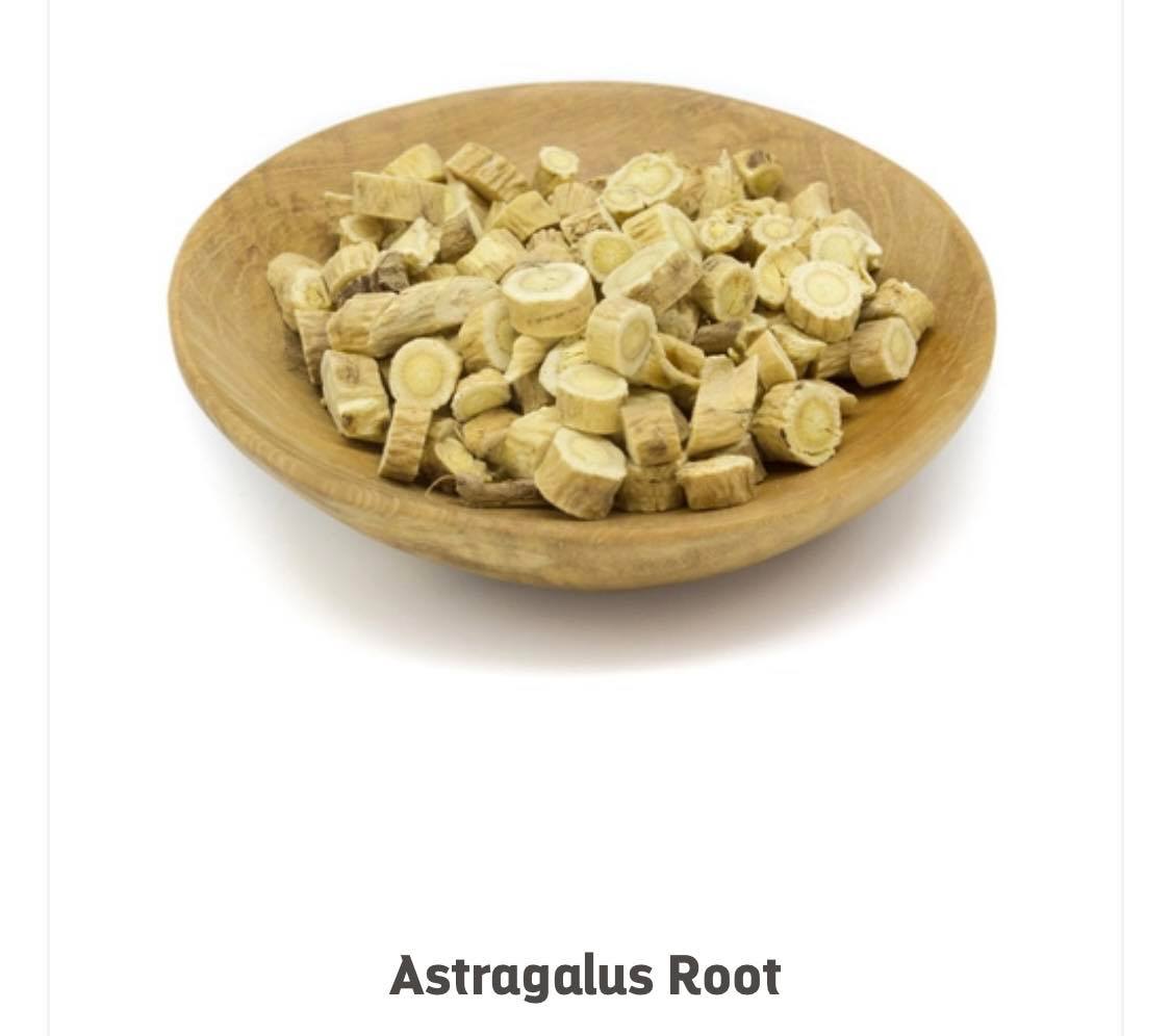 Astragalus Root