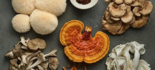 Mushroom  Coffee  Blends