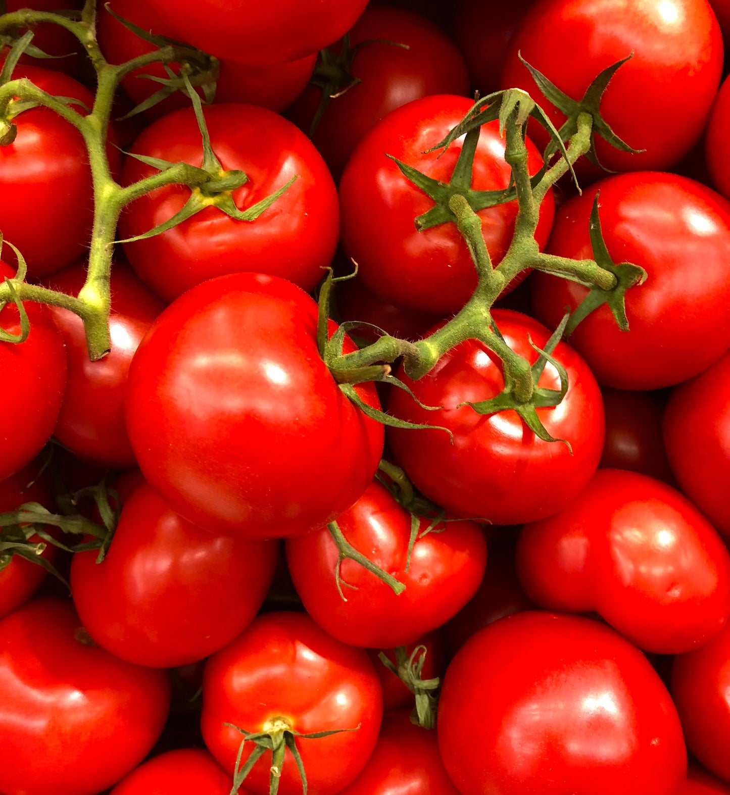 Jams, Relish, Chutney & Condiments
