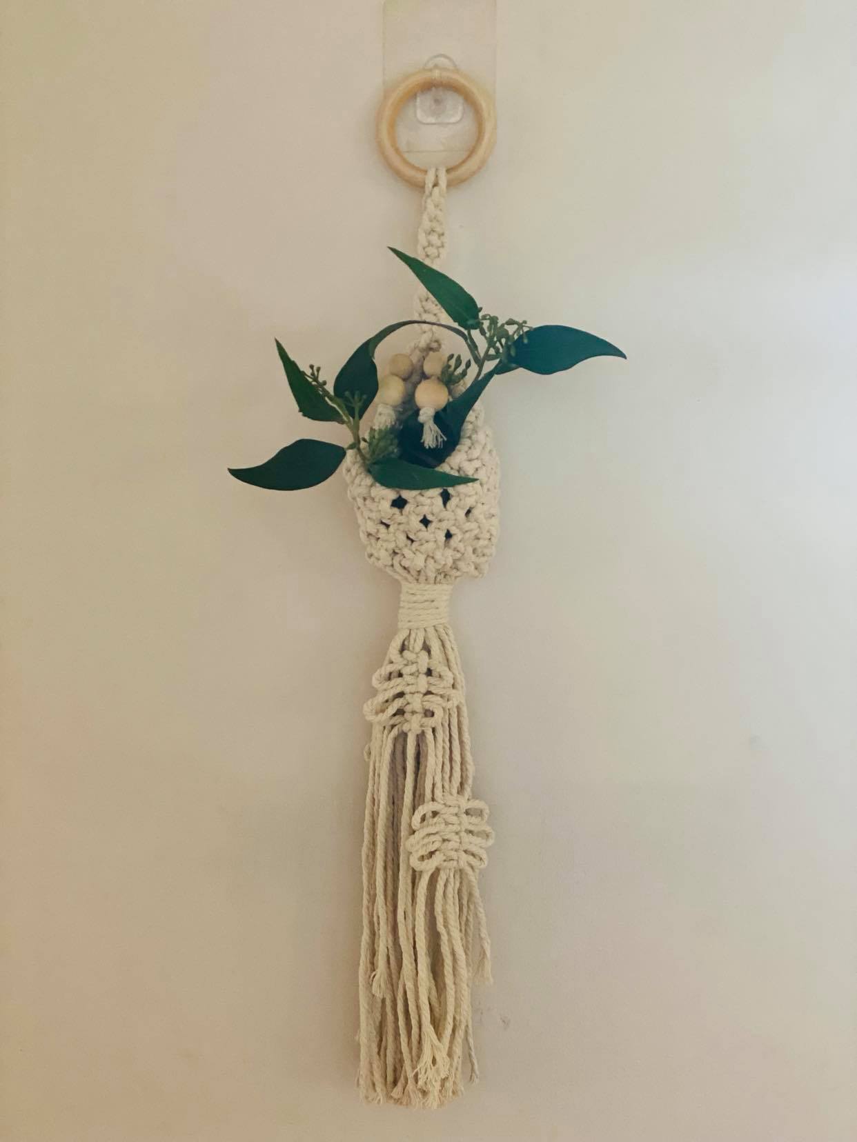 Airplant/Crystal Hangers
