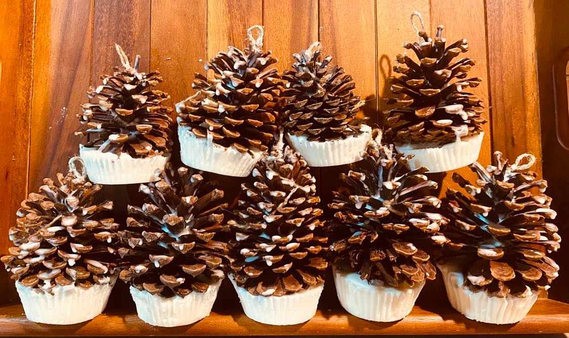 Pine Cone Starter