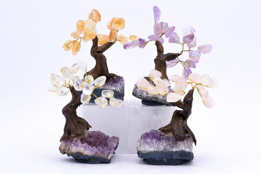 Bonsai Crystal Trees