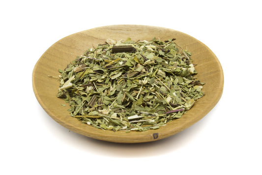 Echinacea Whole Plant